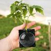 Plant Propagation High-pressure Box Cutting Grafting Rooting Box Garden Tree High-altitude Pressure Branch Rooting Propagator Ball Gardening