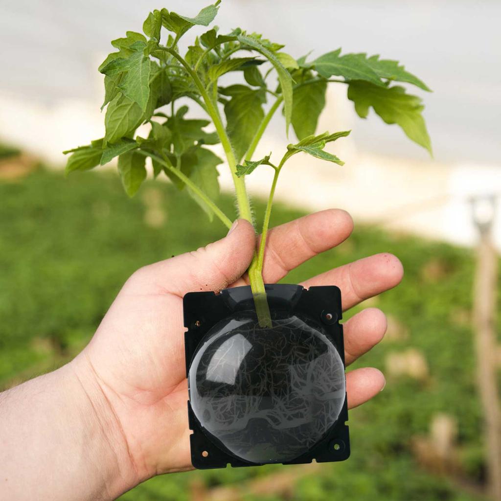Plant Propagation High-pressure Box Cutting Grafting Rooting Box Garden Tree High-altitude Pressure Branch Rooting Propagator Ball Gardening