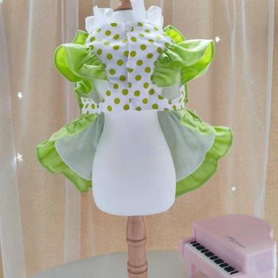 Одежда и обувь – Платья для собак