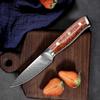 67 Layers Damascus Steel Paring Knife Fruit Vegetables Knife Sharp Cleaver Fishing Knife Kitchen Cooking Tools