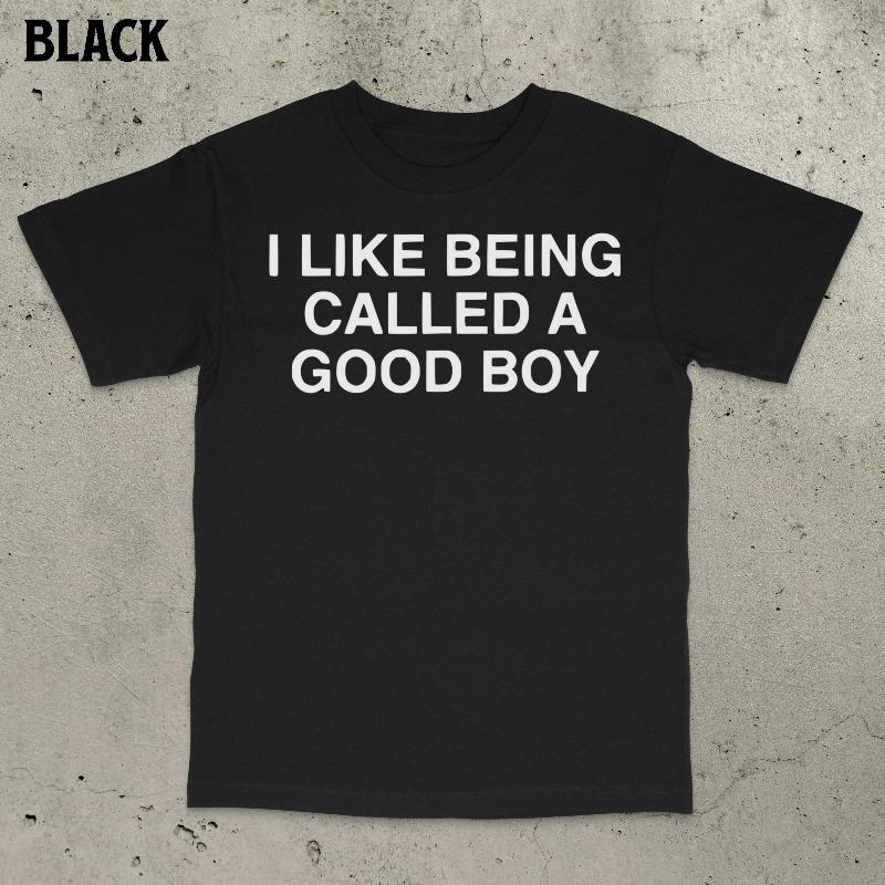Новинка I Like Being Called A Good Boy Футболки Мем Поколение Z Альфа Футболка Женская Унисекс Хлопок Летняя Харадзюку Оверсайз Мозговая гниль юмор