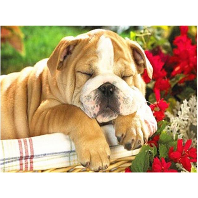 DIY 5D Алмазная картина Собака Милый питомец Вышивка крестом Алмазная вышивка Животное Мозаика Полный дрель Круглый