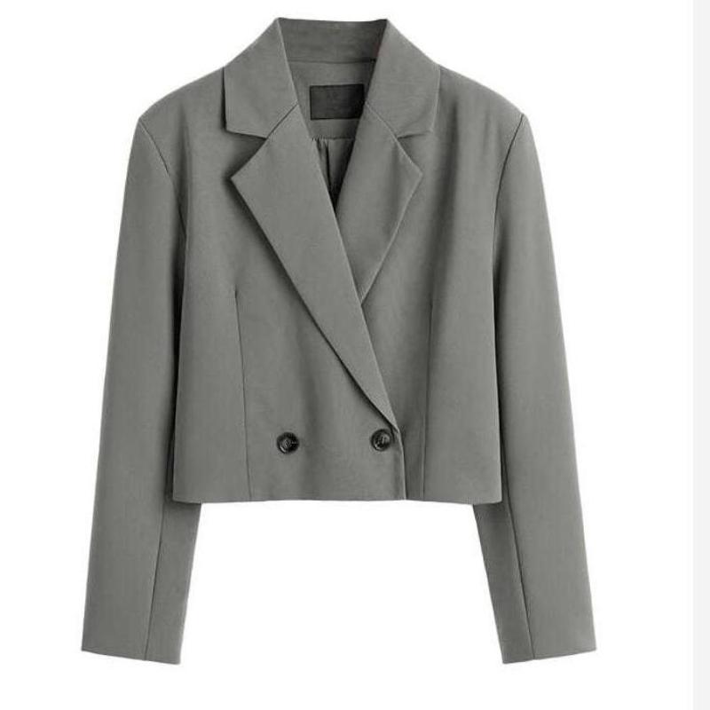 Summer And Autumn Korean Women Short Small Suit Coat And Blazers Office Lady Long Sleeve