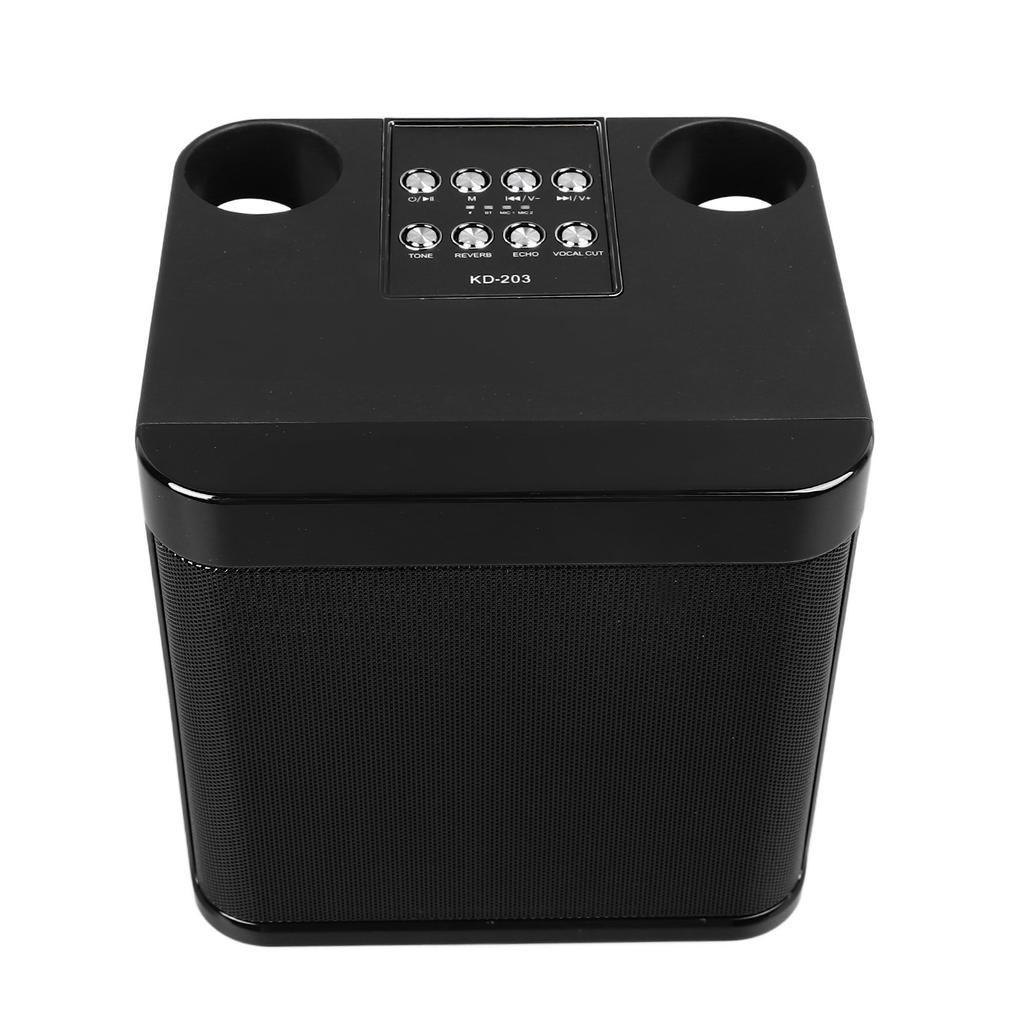 Беспроводные караоке-колонки Портативная мини-караоке-машина Bluetooth-колонка с 2 беспроводными микрофонами для домашней вечеринки