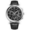 Часы Adriatica A8294.5254CH