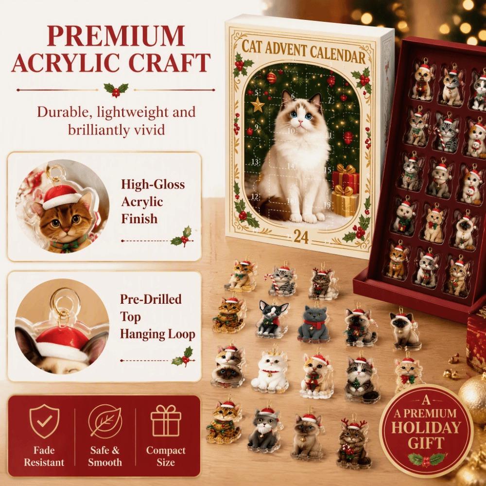 24 Boxes Christmas Countdown Calendar Cute Cat Cat Calendar Cat Advent Calendar Women
