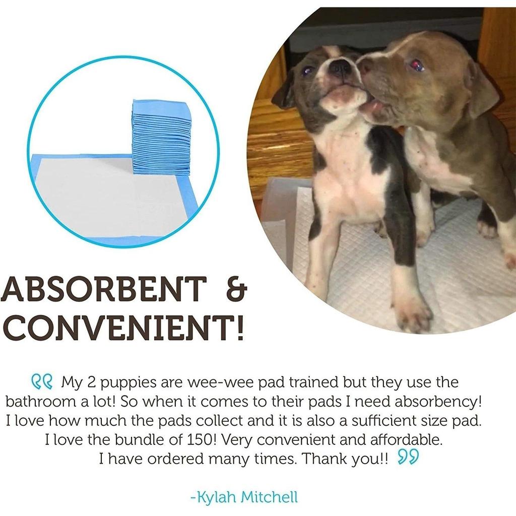 50/100-упаковка: Подушечки для щенков Подушечки для собачьей мочи для приучения к горшку Собаки и кошки Подгузники для домашних животных