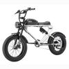 MEELOD DK300PLUS Adult Electric Bicycle 750W Motor 48V20Ah Battery Electrical Road Bike 20" Fat Tire Retro Urban Commuting Mountain E-Bike