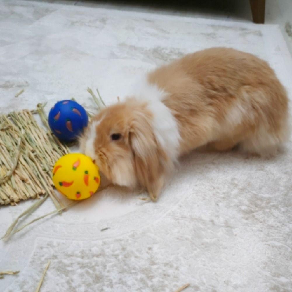 PVC Rabbit Tumbler Ball Interactive Cat Slow Feeder Practical Guinea Pig Leak Feeder  Bunny