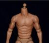 Масштабная экшн-фигурка ZCTOYS S005 Азиатское мужское тело для боевых искусств Jeet Kune и одежда Не [TOYBARJAPAN] 1/6 Художники, Делать и т.д.. (Голова включена)