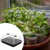 Seed Starter Tray Nursery 24 Cells Sprouting with Vents Sturdy Container