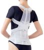 Alphax Posture Supporter, Posture Belt, Back Support, Made In Japan, Doctor's Recommended Posture Belt, Size L-LL