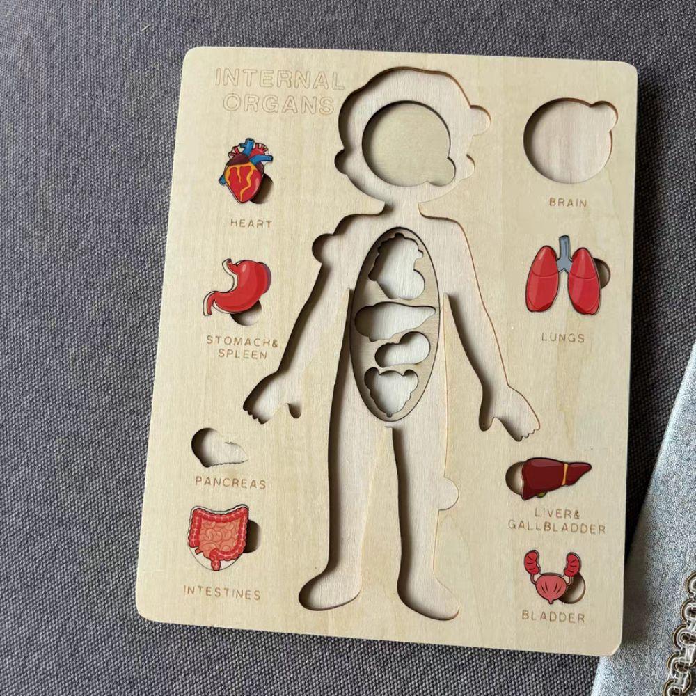 Занятия Бизиборд Деревянная головоломка с изображением человеческого тела Образовательная анатомическая головоломка Когнитивные учебные пособия