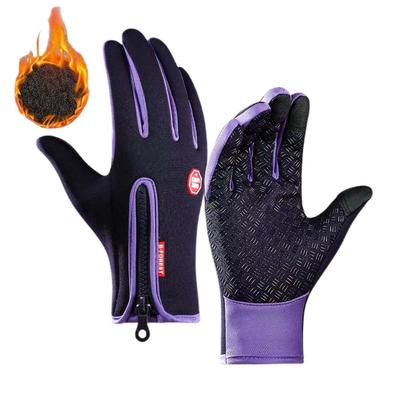 Защитное снаряжение – Мотоциклетные перчатки