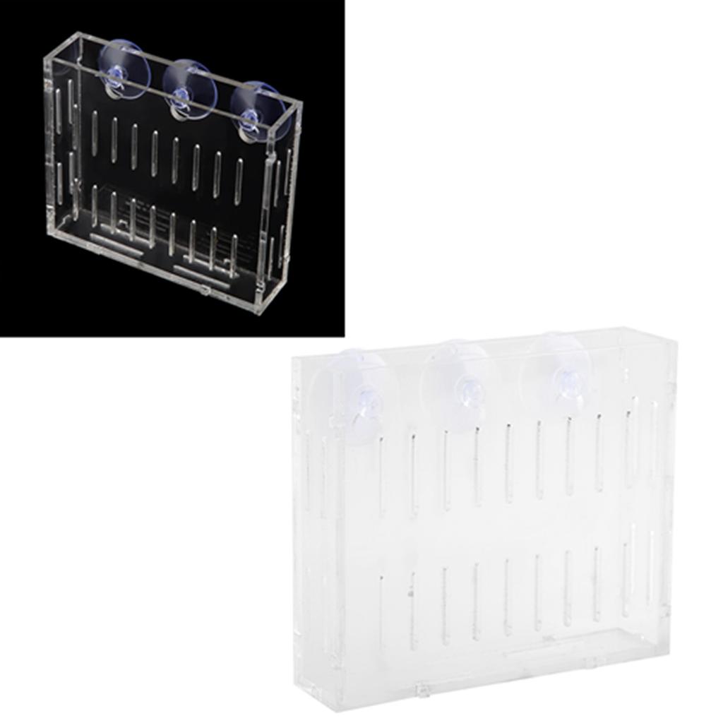 Аквариумный Растение Водная Трава Чаша Ландшафтные Растения Культивация Бассейн Чаша с Присосками