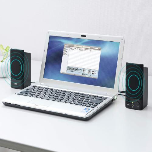 SANWA SUPPLY Мультимедийный динамик с питанием от USB MM-SPL2NU3 Черный