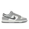 Dunk Low SE Light Carbon Men Sneakers Grey FJ4188-100