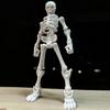 3D Skull Model Assembly Toy Joints Figure Multi-Articulable Skull And Bone Puppet Decoration Action Figures Gift Anime
