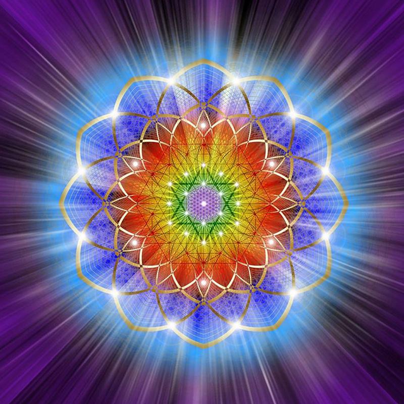 5D DIY Алмазная вышивка Мандала цветы вышивка крестиком распродажа полная квадратная круглая алмазная живопись кошка животное Алмазная мозаика домашний декор