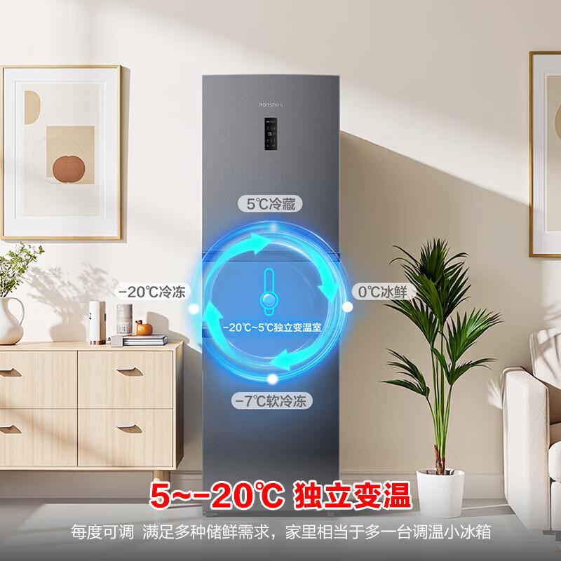 Hisense Rongsheng 261L Refrigerator