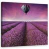 Печать на холсте Лавандовое поле Природа
