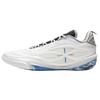 Баскетбольные кроссовки Li Ning Wade с амортизацией, износостойкие, низкие, унисекс, сине-белые, ABAV045-14