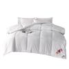Yalu Cloud Soft Winter Duvet