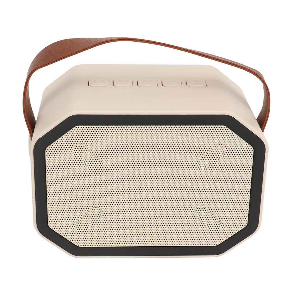 Mini Karaoke Machine Set Portable Stable Transmission Bluetooth Speaker with Wireless Microphones for Home Party White