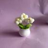 Knitted Cream Puff Tulip & Forget-Me-Not Mini Potted Plant Simulation Flowers