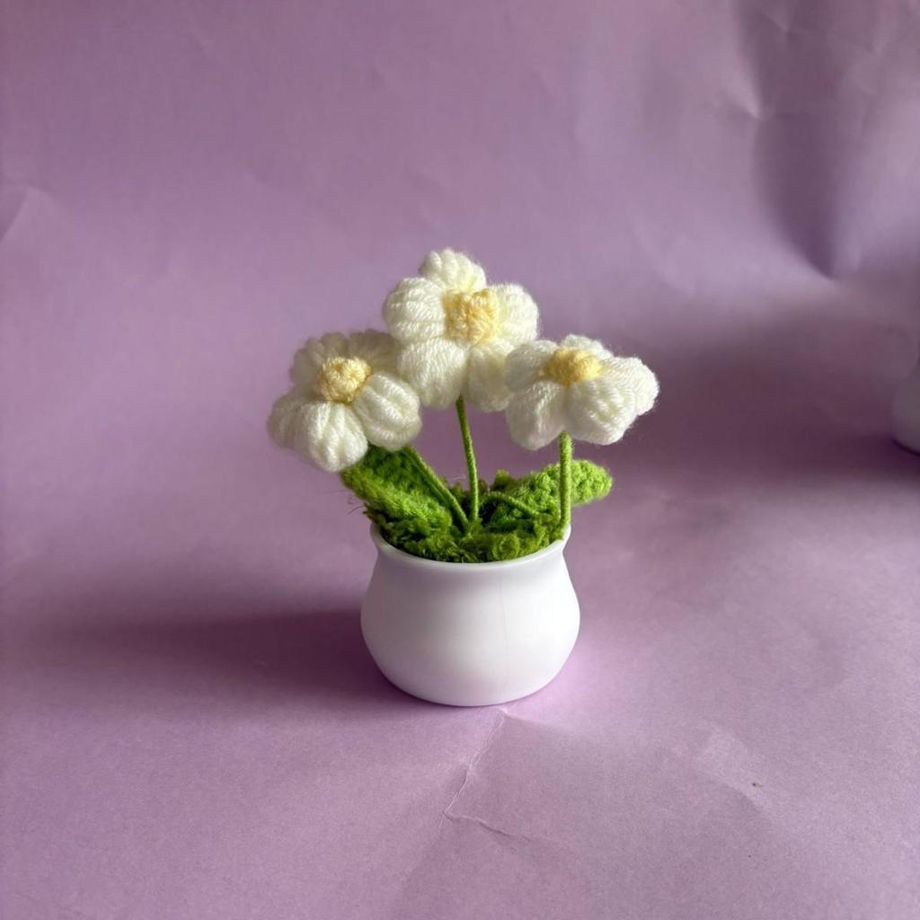Knitted Cream Puff Tulip & Forget-Me-Not Mini Potted Plant Simulation Flowers