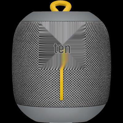 Портативная Bluetooth-колонка Logitech UE WONDERBOOM, штекер CN (адаптер в комплекте)