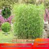 Artificial Bamboo Plants - Indoor/Outdoor Decorative Screen for Balcony, Living Room, or Garden Landscaping