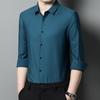 Spring and Autumn New Style Middle-aged Striped No-iron Shirt Men's Long-sleeved Thin Ice Silk Nylon Seamless Shirt Men's Clothing