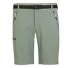 Regatta Шорты Xert Stretch III