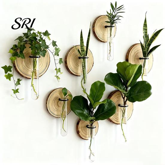 Easy Install Vase Rack 3 Pcs Wall-Mounted Plant Terrarium Propagation Station Clear Cylinder Hanging Test Tube Wall-mounted Planter Indoor Decorative