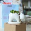 American Rural Creative White Ceramic Succulent Flower Pot, Home Decoration Mengmeng Cartoon Kitten Green Plant Potted Plant