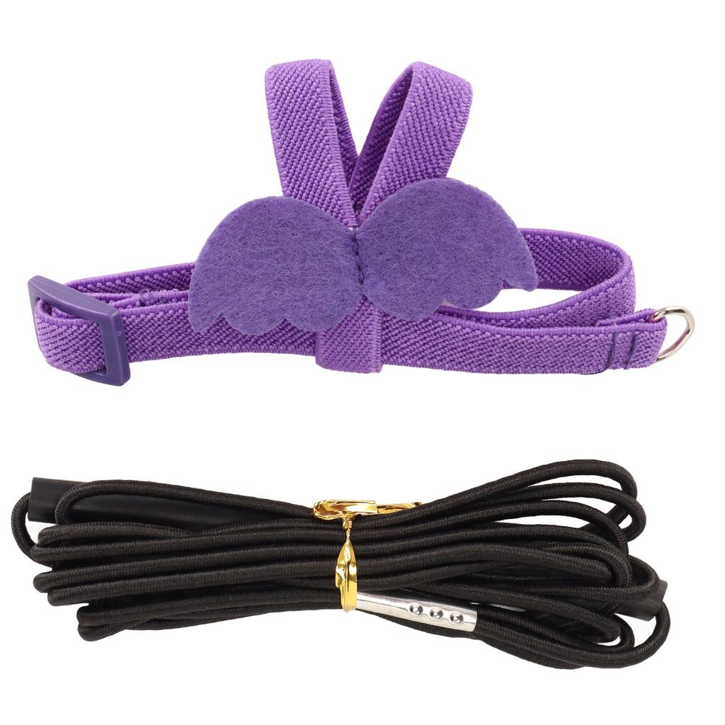 Bird Harness and Leash Super Light Adjustable Bite Resistant Parrot Harness Traction Rope with Cute