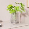 Double Layer Hydroponic Wall Planter Plastic Hanging Flower Pot Wall Hanging Vase  Indoor Planting