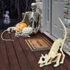 Animal Skeleton Model Halloween Crow Skull Statue Spider Lizard Cat Decoration Halloween Skeleton Sculpture