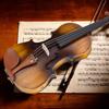 Электроакустический эквалайзер AV E310 Скрипка Матовое покрытие Скрипичный набор с кейсом Канифоль Смычок Дополнительные струны