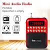 Радио FM-радио Мини Портативный Перезаряжаемый Радиоприемник Динамик Поддержка USB TF-карты Музыкальный MP3-плеер