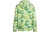 Adidas Kids Jackets Hooded Moderate HS1158
