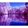 5D DIY Diamond Painting Purple Scenery Diamond Embroidery Landscape Cross Stitch Home Decor