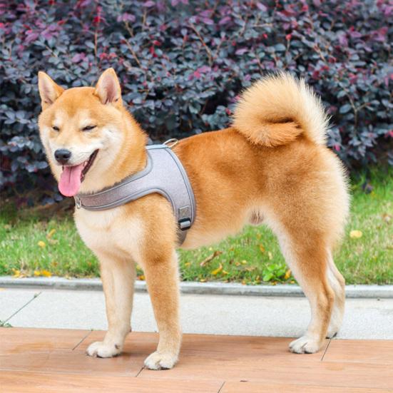 No-Pull Dog Harness Breathable Dog Harness with Reflective Leash Adjustable Fit Mesh Vest Harness
