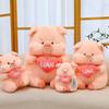 Cute Love Lulu Pig Doll Cute Pink Pig Plush Toy Children Sleeping Pillow Doll