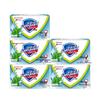 Safeguard Minty Fresh Bar Soap 5x100g