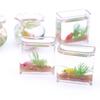 Goldfish Bowl Model Realistic Decorative Ornament Miniature Glass Fish Tank for Dollhouse Photo Props Miniature Scenes