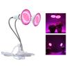 Plant Light LED Countertop Clamp Light Full Spectrum Plant Fill Light Indoor Nursery Succulent