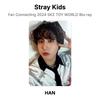 Stray Kids Фан-коннектинг 2024 SKZ TOY WORLD Blu-ray Официальная фотокарточка