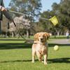 Extendable Handle Pet Poop Scooper Foldable Cat Cleaning Tool Dog Waste Picker  Outdoor